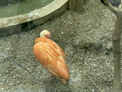 -青藏高原野生动物园