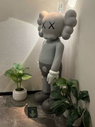 -玛莲朵·海菲秀冰珀科