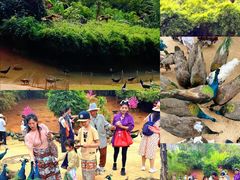 -西双版纳勐泐文化旅游区