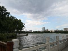 -莲花池公园
