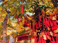 -潭柘寺景区