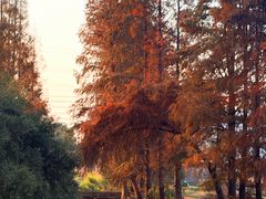 -宁波杉井奥特莱斯广场