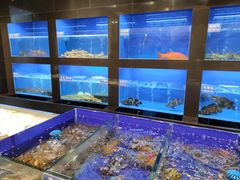 水产区-金时代顺风大酒店(临港百联店)