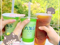 -九里香奶茶果汁(碧湖店)