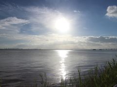 -芒洲湿地公园