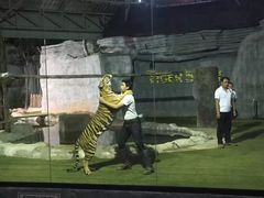 -清迈夜间动物园