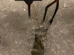 -月满港海鲜酒家