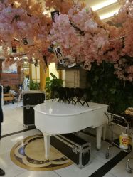 -逸丝风尚
