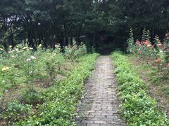 -鹅湖玫瑰文化园