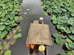 -荷塘月色湿地公园·向阳花洲