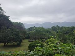 -陶祖圣境风景区