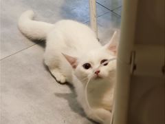 -有何Book(六堰体育馆店)