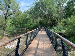 -白水寺森林公园