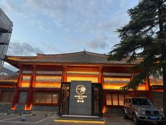 -荷唐·殿 Home Town Palace