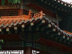 -永安水煮活鱼·仪征土菜院子