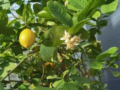 -中国农科院国家农业科技展示园