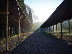 -武陵山森林公园
