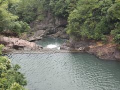 -四明山国家森林公园