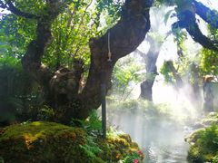 -Chom Cafe and Restaurant