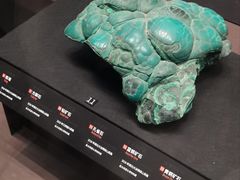 -盘龙城国家考古遗址公园