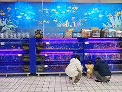 -大润发(康桥店)