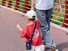 -王借岗森林公园