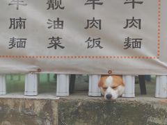 -小梁哥云吞面(黄贝岭店)
