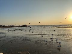 -老虎石海上公园