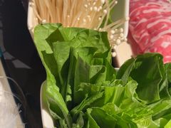 -额尔敦传统涮(公园西路店)