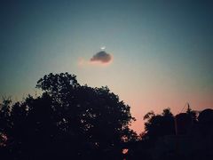 -维乐口腔医院(星海湾分院)