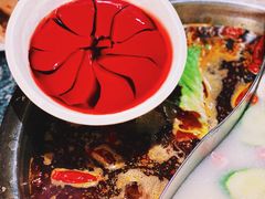 空运鲜鸭血-渝味晓宇火锅(合川路店)