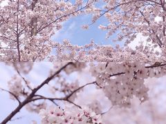 -龙美术馆(西岸馆)