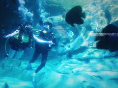 -波塞冬旅游度假区