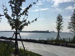 -春花秋色城市公园