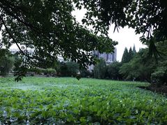 -西南交通大学(九里校区)