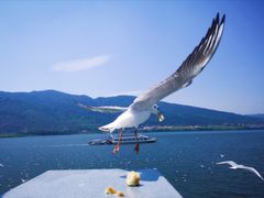 -滇池海埂公园