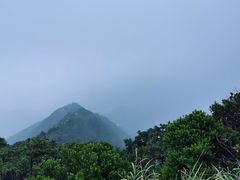 -梧桐山风景名胜区