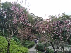 -乌山风景区