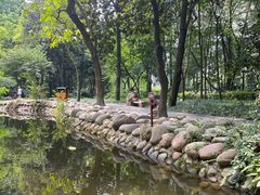 -成都市活水公园