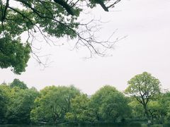 -西湖游船