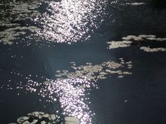 -星巴克(深圳前海企业公馆店)