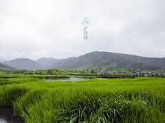 -丽江泸沽湖景区