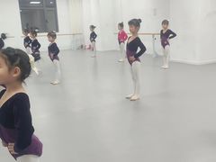 -西安小天鹅艺术团(金花路校区)