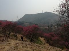 -溪口-滕头旅游景区