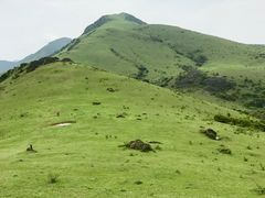 -大姆山草场
