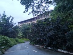 -西双版纳融创皇冠假日度假酒店