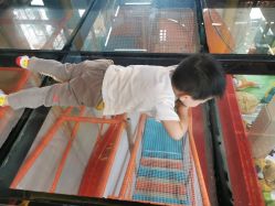 -动力星球家庭亲子游乐中心