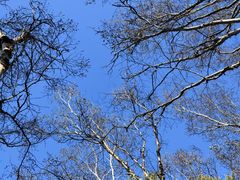 -白草畔自然风景区