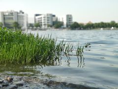 -美兰湖景区