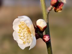 -山东大学(趵突泉校区)